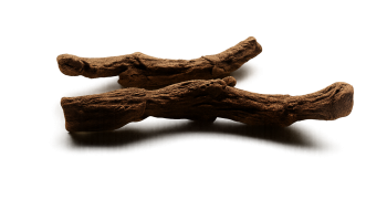 ChatGPT Image Dec 1, 2025, 01_07_52 AM