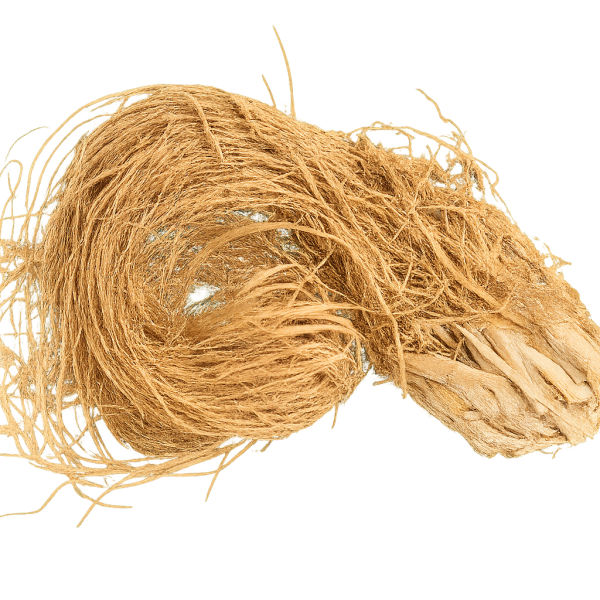 ChatGPT Image Dec 1, 2025, 12_49_28 AM